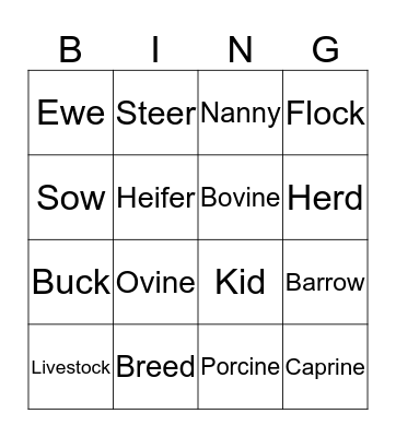 Livestock Terminology Bingo Card