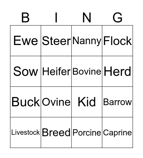 Livestock Terminology Bingo Card