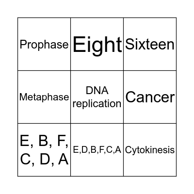 Cell Cycle and Mitosis Bingo Card