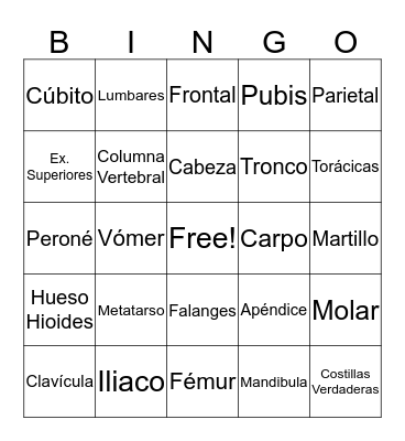 Loteria del Cuerpo Bingo Card