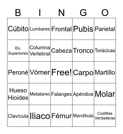 Loteria del Cuerpo Bingo Card