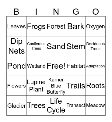 Habitats of the Saratoga Sandplains Bingo Card
