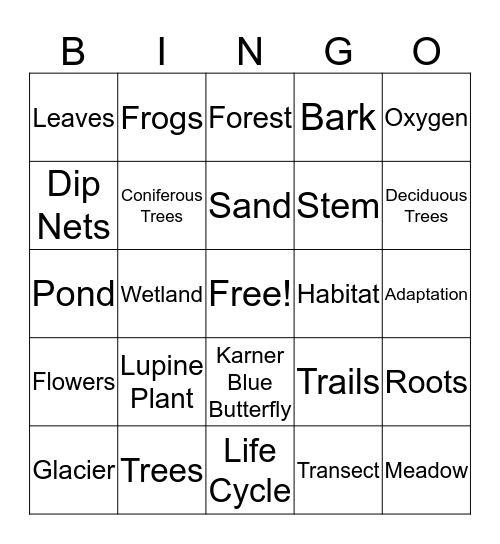Habitats of the Saratoga Sandplains Bingo Card