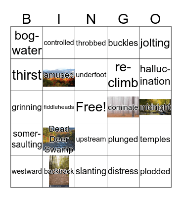 Girl Who Loved Tom Gordon Fifth Inning Part D Bingo Card