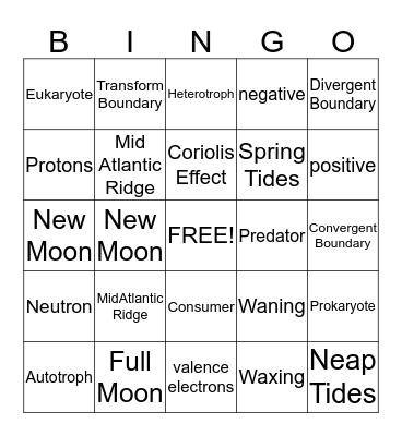 STAAR Review Bingo Card