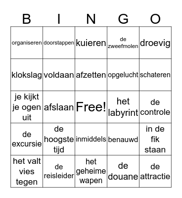 Woordenschat thema 3 Bingo Card