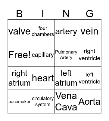 Circulatory System Bingo Card
