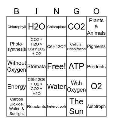 Photosynthesis & Cellular Respiration Bingo Card