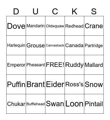 Ducks Bingo Card