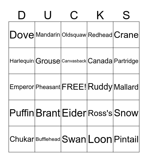 Ducks Bingo Card