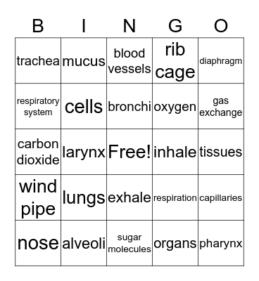 respiratory system bingo Card