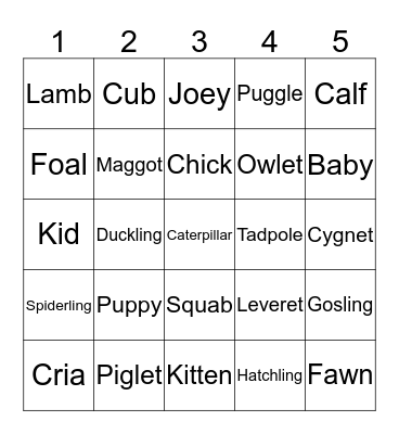 ANIMAL YOUNG Bingo Card