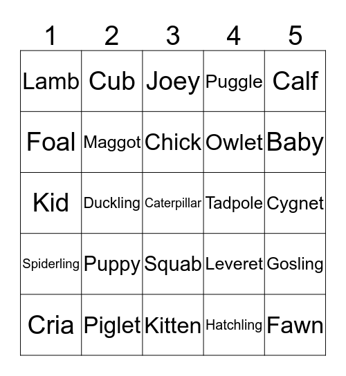 ANIMAL YOUNG Bingo Card