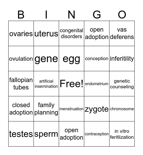 Chapter 7 Vocabulary Bingo Card