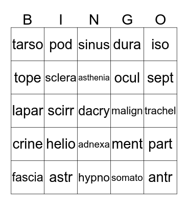 Lesson 7 medical terms Bingo Card
