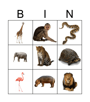 Bingo Animals Bingo Card
