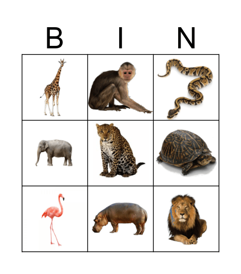 Bingo Animals Bingo Card