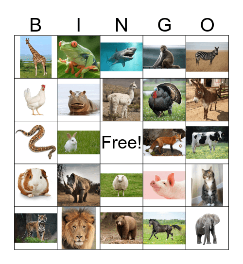 Animal Bingo Card