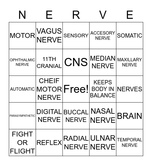 Nerves  Bingo Card