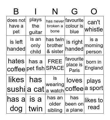 Icebreaker BINGO Card