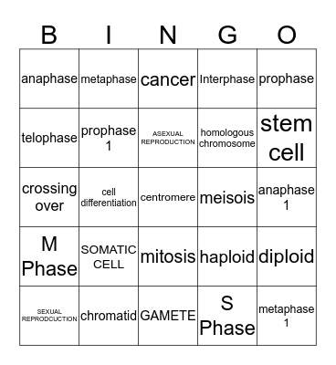 Cellular Respiration Bingo Card