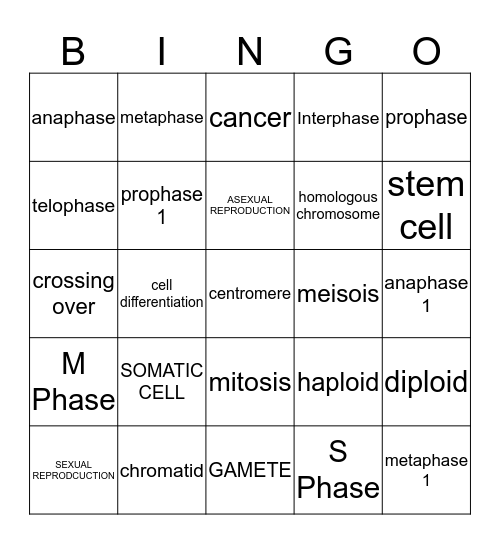 Cellular Respiration Bingo Card