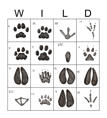 ANIMAL TRACK Bingo Card