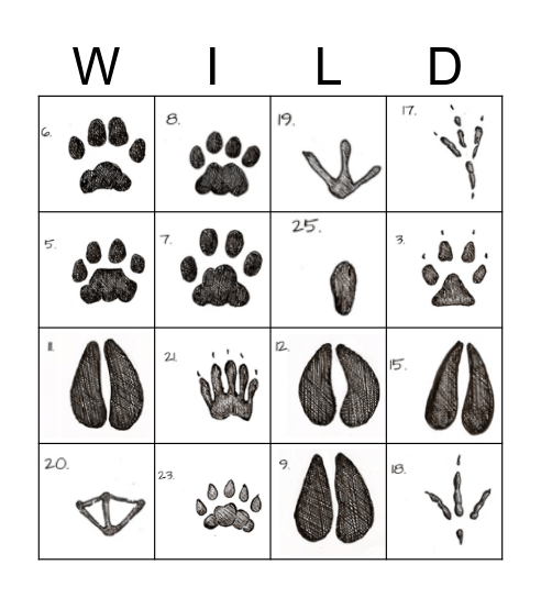 ANIMAL TRACK Bingo Card
