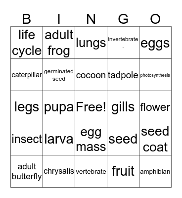 Life Cycle Bingo Card