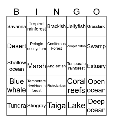 Biomes Bingo Card