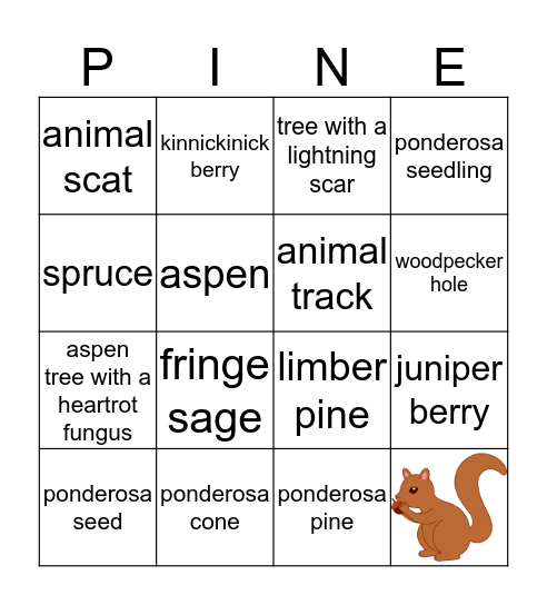 Ponderosa Pineapples Bingo Card