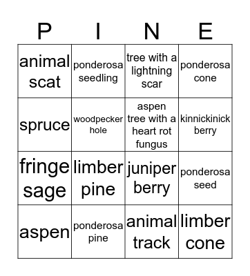 Ponderosa Pineapples Bingo Card