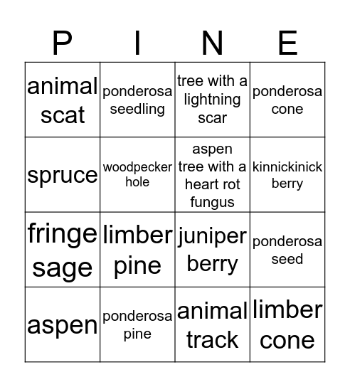 Ponderosa Pineapples Bingo Card