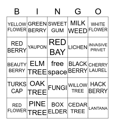 NATURE BINGO Card