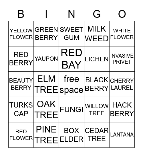 NATURE BINGO Card