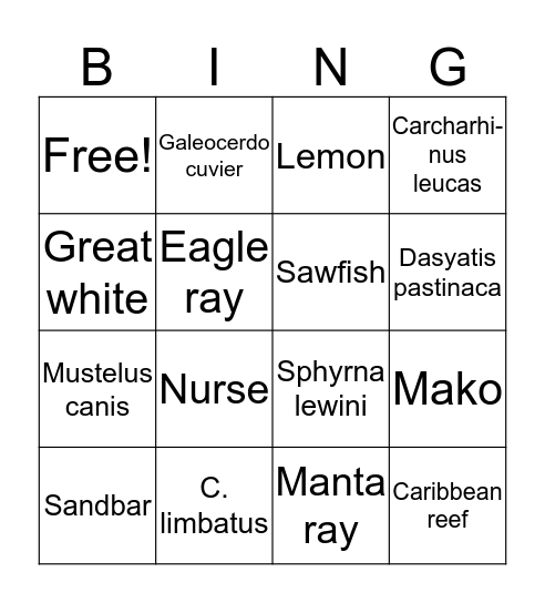 Shark Club Bingo Night!  Bingo Card