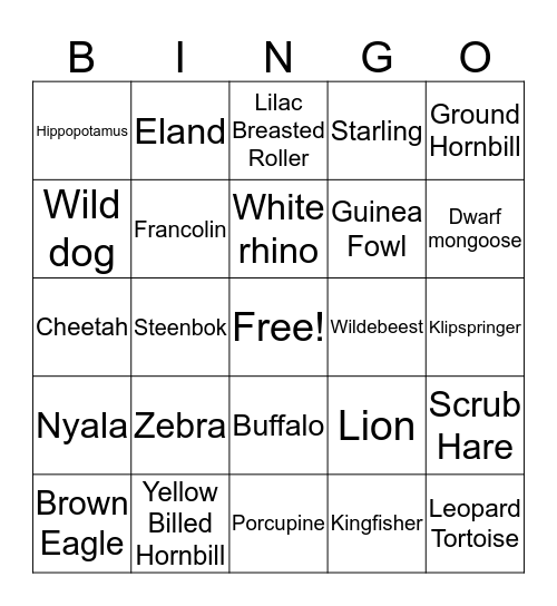 Kruger Bingo Card
