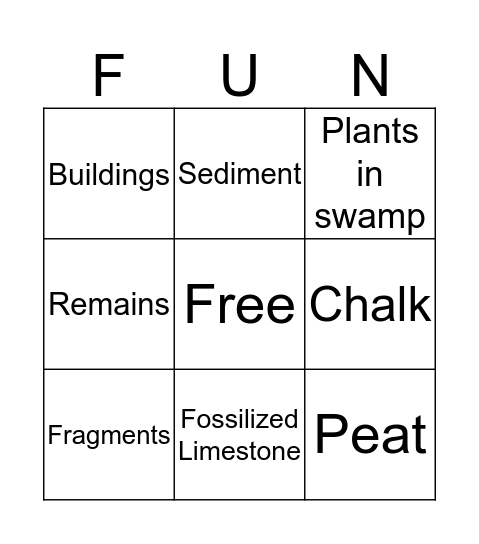 Organic Sedimentary Rock Bingo Card