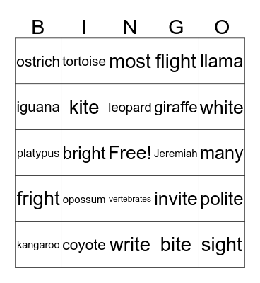Bingo Week 12 Bingo Card