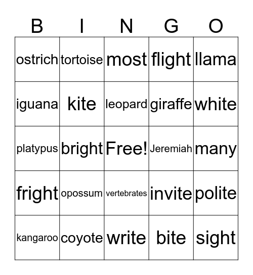 Bingo Week 12 Bingo Card