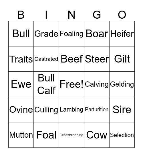 livestock-terminology-bingo-card