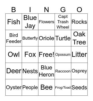 Masonville Cove Nature Bingo Card