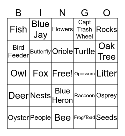 Masonville Cove Nature Bingo Card