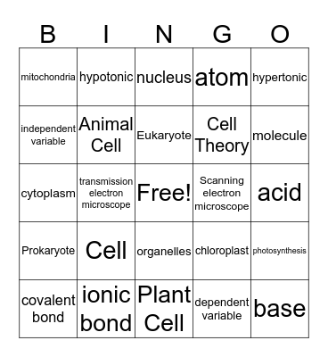 Science 2 Bingo Card