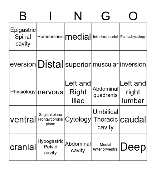 Structure of the Body Bingo Card