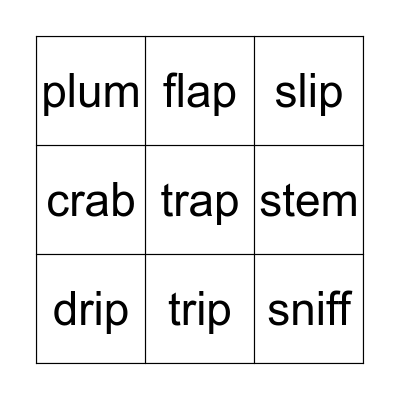 CCVC words Bingo Card
