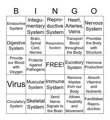 Body System Bingo Card