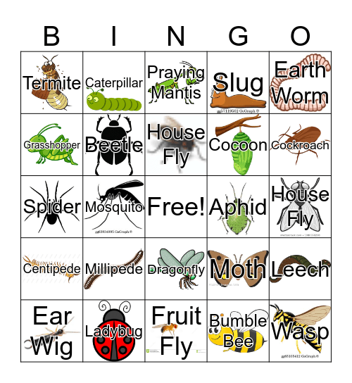 Insect Bingo Card