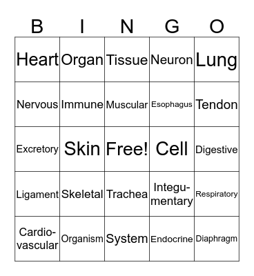 Systems Organization  Bingo Card