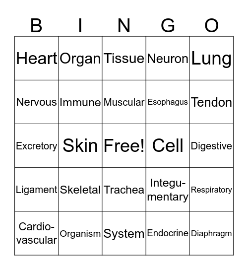 Systems Organization  Bingo Card